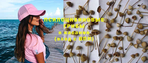 дурь Медвежьегорск