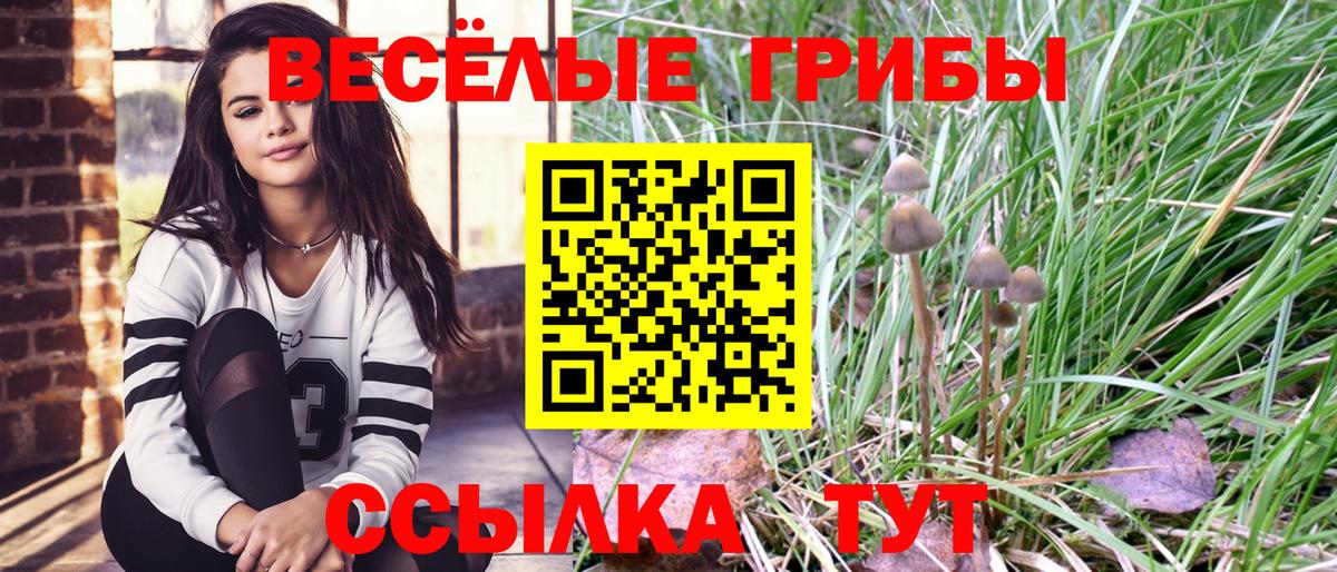 Галлюциногенные грибы Magic Shrooms  Галлюциногенные грибы Cubensis  Фурманов  Вход с VPN 