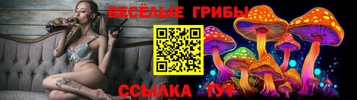 Псилоцибиновые грибы Psilocybe Фурманов