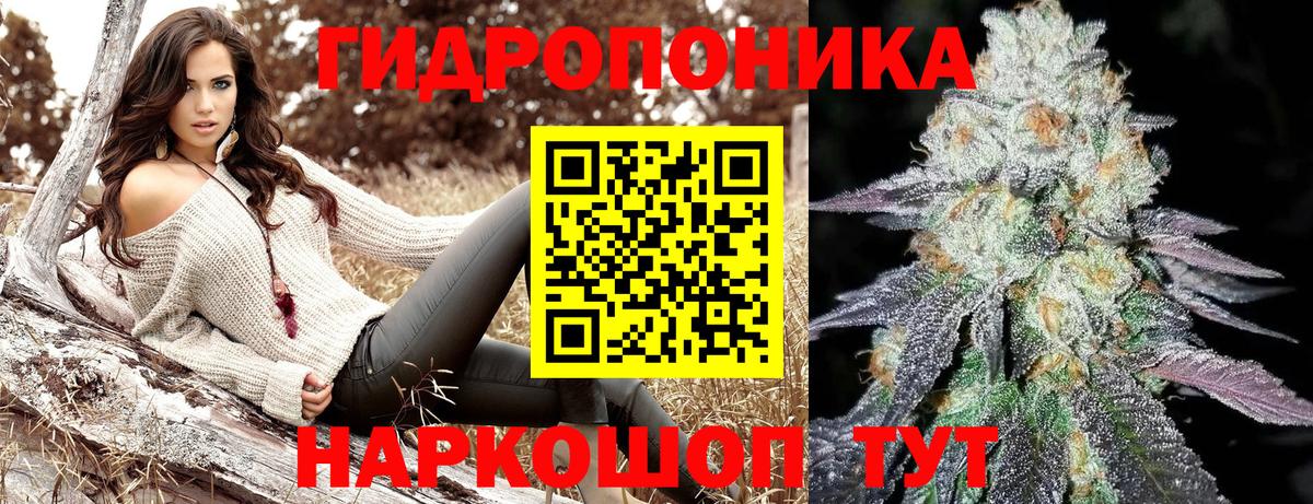 Бошки Шишки гибрид Фурманов